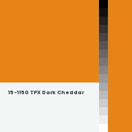 Color chip: 15-1150 TPX Dark Cheddar