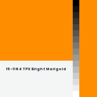 Color chip: 15-1164 TPX Bright Marigold
