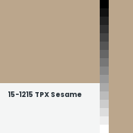 Color chip: 15-1215 TPX Sesame