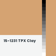 Color chip: 15-1231 TPX Clay