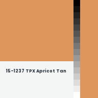 Color chip: 15-1237 TPX Apricot Tan