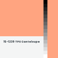 Color chip: 15-1239 TPX Canteloupe