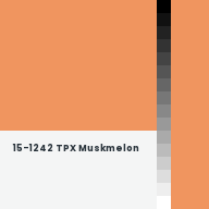 Color chip: 15-1242 TPX Muskmelon