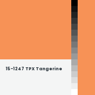 Color chip: 15-1247 TPX Tangerine