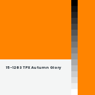 Color chip: 15-1263 TPX Autumn Glory
