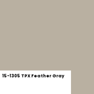 Color chip: 15-1305 TPX Feather Gray