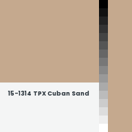 Color chip: 15-1314 TPX Cuban Sand