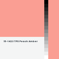 Color chip: 15-1423 TPX Peach Amber