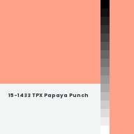 Color chip: 15-1433 TPX Papaya Punch