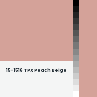 Color chip: 15-1516 TPX Peach Beige