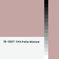 Color chip: 15-1607 TPX Pale Mauve