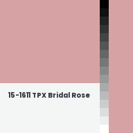 Color chip: 15-1611 TPX Bridal Rose