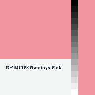 Color chip: 15-1821 TPX Flamingo Pink