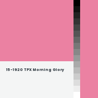 Color chip: 15-1920 TPX Morning Glory