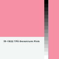 Color chip: 15-1922 TPX Geranium Pink