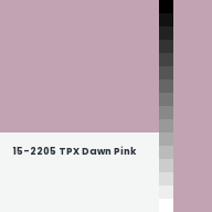 Color chip: 15-2205 TPX Dawn Pink