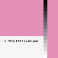 Color chip: 15-2214 TPX Rosebloom