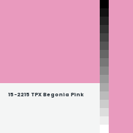 Color chip: 15-2215 TPX Begonia Pink
