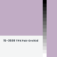 Color chip: 15-3508 TPX Fair Orchid