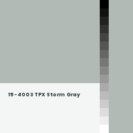 Color chip: 15-4003 TPX Storm Gray