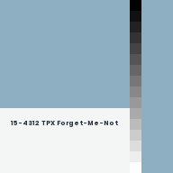 Color chip: 15-4312 TPX Forget-Me-Not