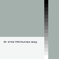 Color chip: 15-4702 TPX Puritan Gray