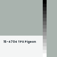 Color chip: 15-4704 TPX Pigeon