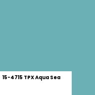 Color chip: 15-4715 TPX Aqua Sea