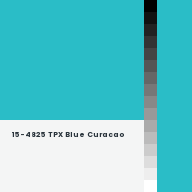 Color chip: 15-4825 TPX Blue Curacao
