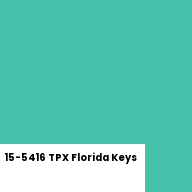 Color chip: 15-5416 TPX Florida Keys