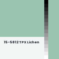 Color chip: 15-5812 TPX Lichen