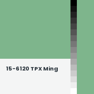 Color chip: 15-6120 TPX Ming