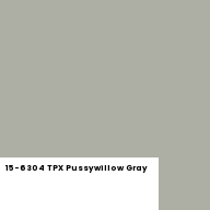Color chip: 15-6304 TPX Pussywillow Gray