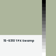 Color chip: 15-6310 TPX Swamp