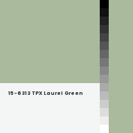 Color chip: 15-6313 TPX Laurel Green