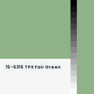 Color chip: 15-6316 TPX Fair Green