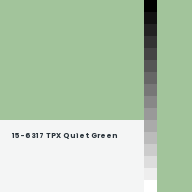 Color chip: 15-6317 TPX Quiet Green