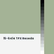Color chip: 15-6414 TPX Reseda