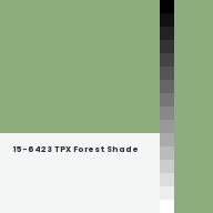 Color chip: 15-6423 TPX Forest Shade