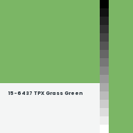 Color chip: 15-6437 TPX Grass Green