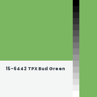 Color chip: 15-6442 TPX Bud Green