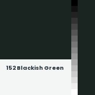 Color chip: 152 Blackish Green