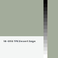 Color chip: 16-0110 TPX Desert Sage
