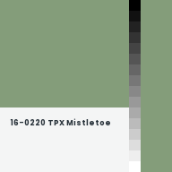 Color chip: 16-0220 TPX Mistletoe