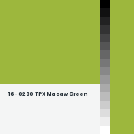 Color chip: 16-0230 TPX Macaw Green