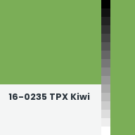 Color chip: 16-0235 TPX Kiwi