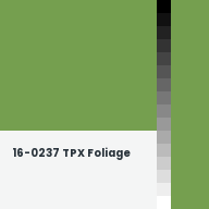 Color chip: 16-0237 TPX Foliage