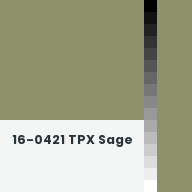 Color chip: 16-0421 TPX Sage