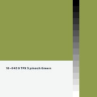 Color chip: 16-0439 TPX Spinach Green