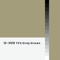 Color chip: 16-0518 TPX Gray Green